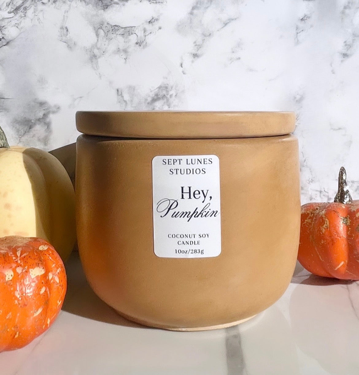 Hey Pumpkin Coconut Soy Wax Candle | Fall Collection